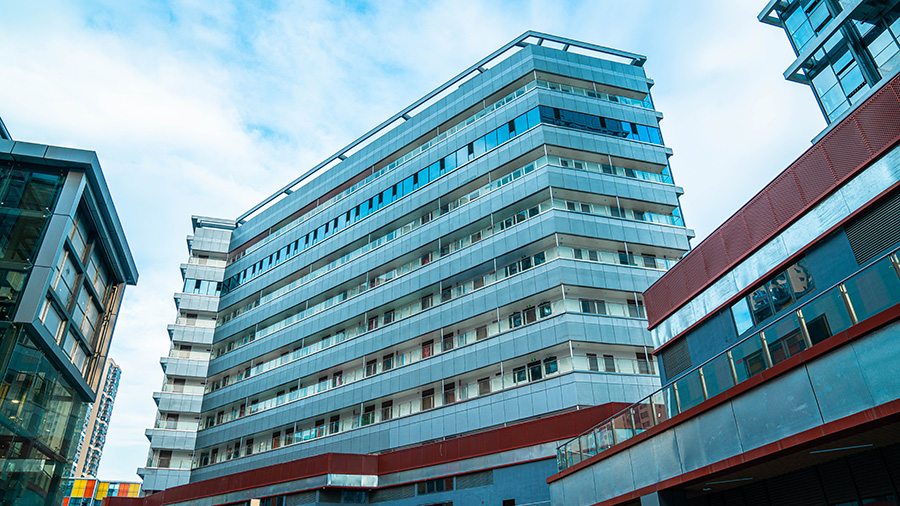 20250520481611.jpg 3.jpg